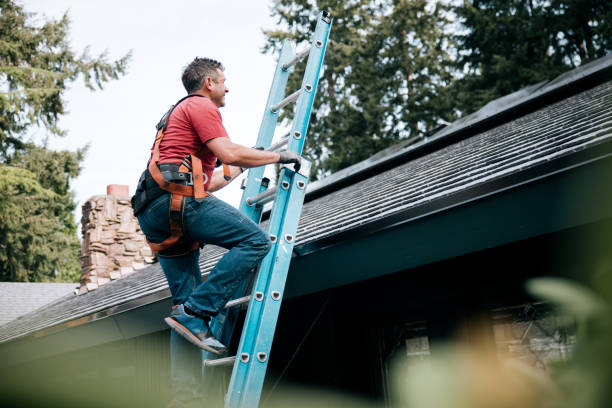 Best Roof Leak Repair  in Bruceton, TN